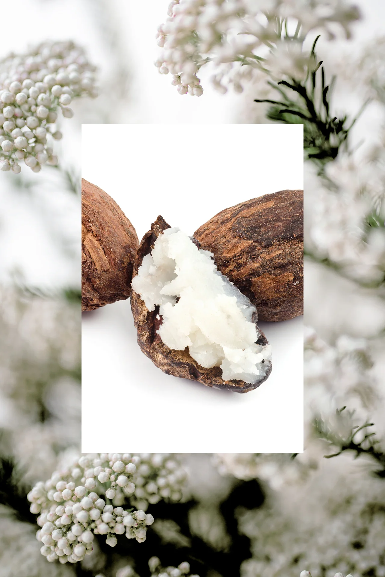 Daily Micro Scrub Salt Polish | Shea + Rice Flower | 15 oz - Image 6