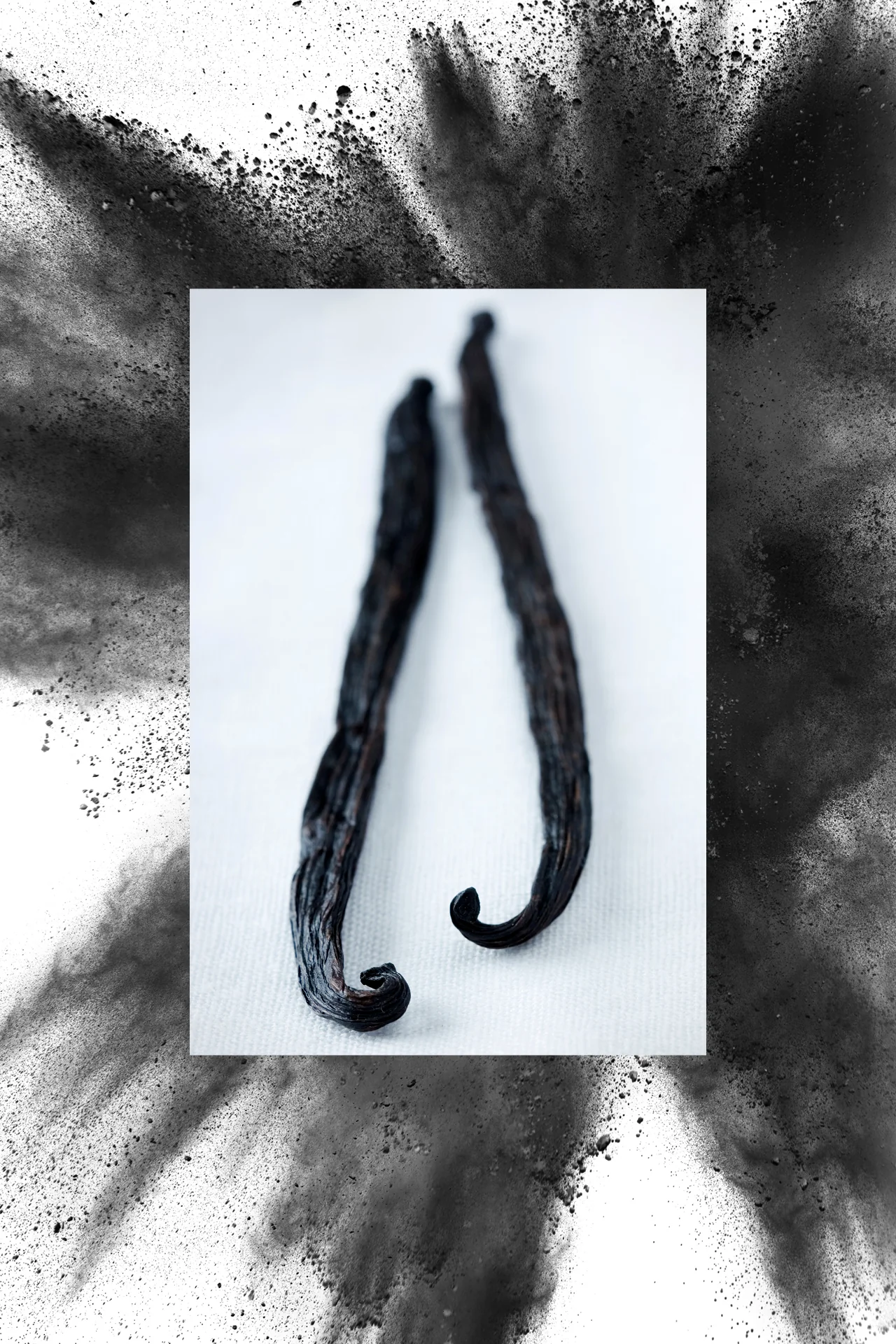 Deodorant | Vanilla Bean + Charcoal | 2.7 oz - Image 5