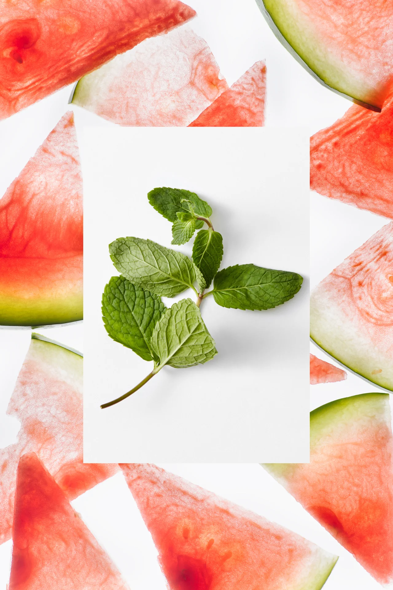 Moisture Loving Body Wash | Watermelon + Fresh Mint | 25 fl oz - Image 4