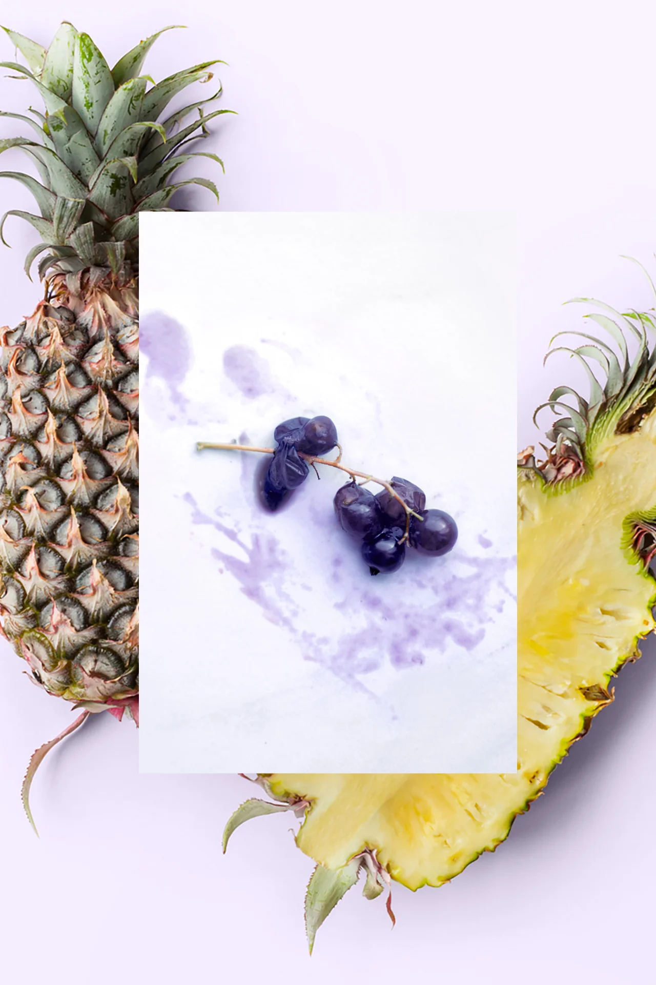 Sugar Scrub | Pineapple + Maqui Berry + Coconut | 15 oz - Image 4