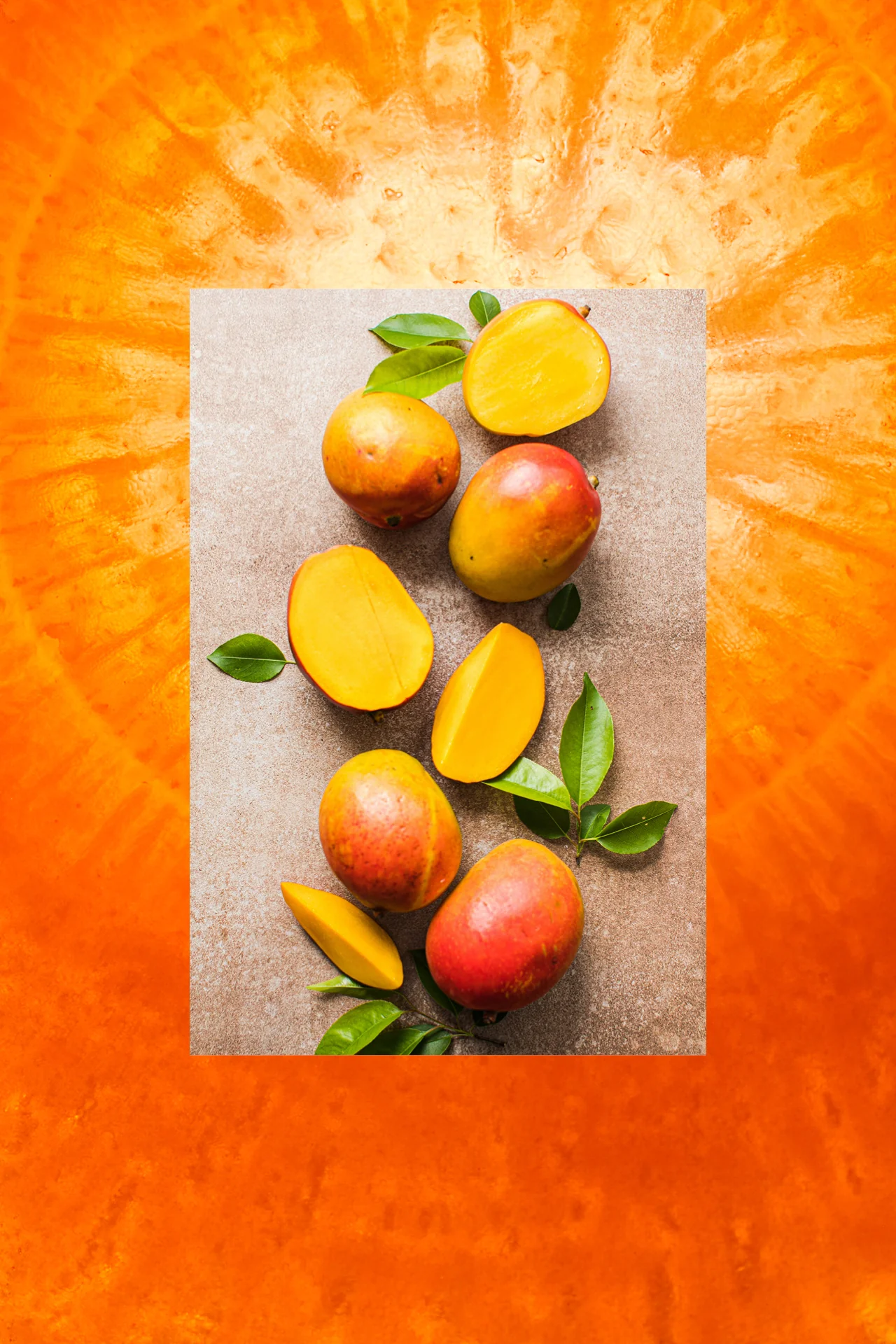 The Bounce Back Shampoo | Mango Butter + Agave + Carrot Oil | 18 fl oz - Image 4