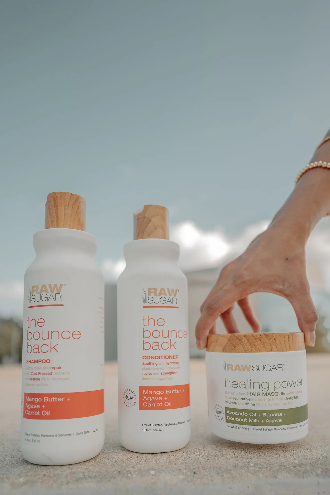 The Bounce Back Shampoo | Mango Butter + Agave + Carrot Oil | 18 fl oz - Image 7