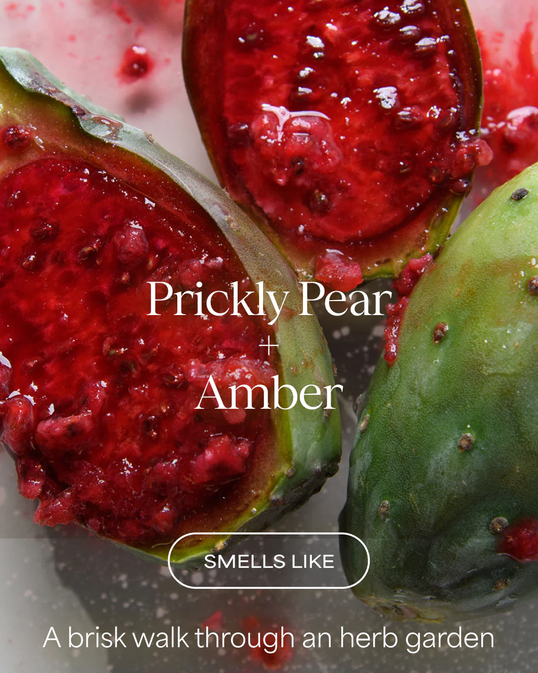 The Color Renew Shampoo | Prickly Pear + Amber | 16 fl oz - Image 2