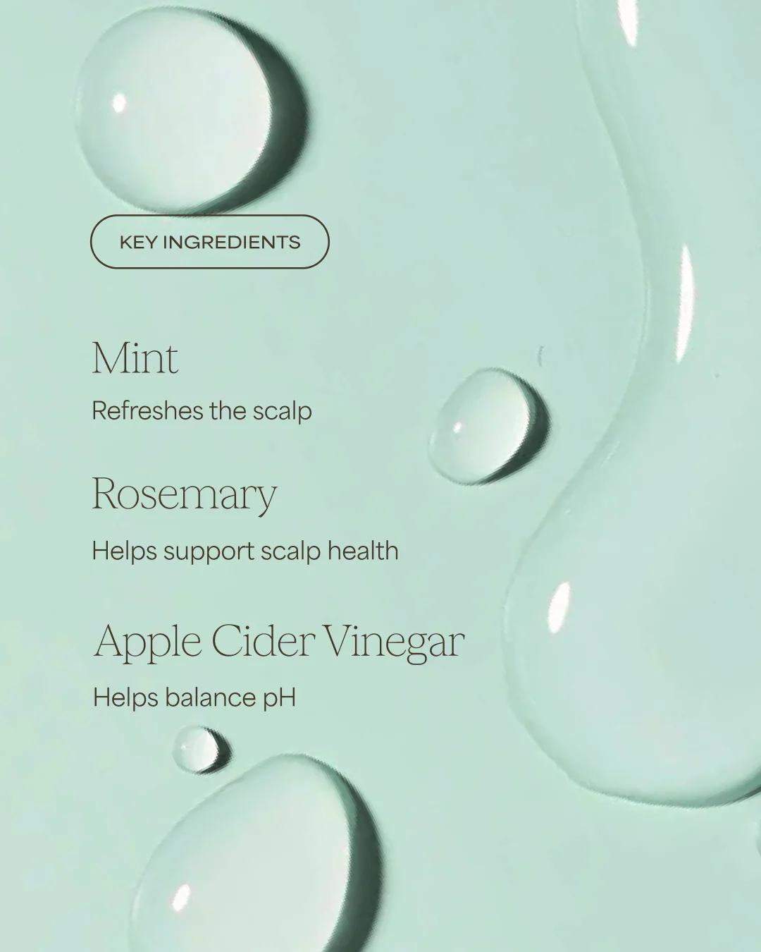 The Rosemary Vinegar Hair Rinse Shampoo Alternative | Rosemary + Mint | 6 fl oz - Image 3
