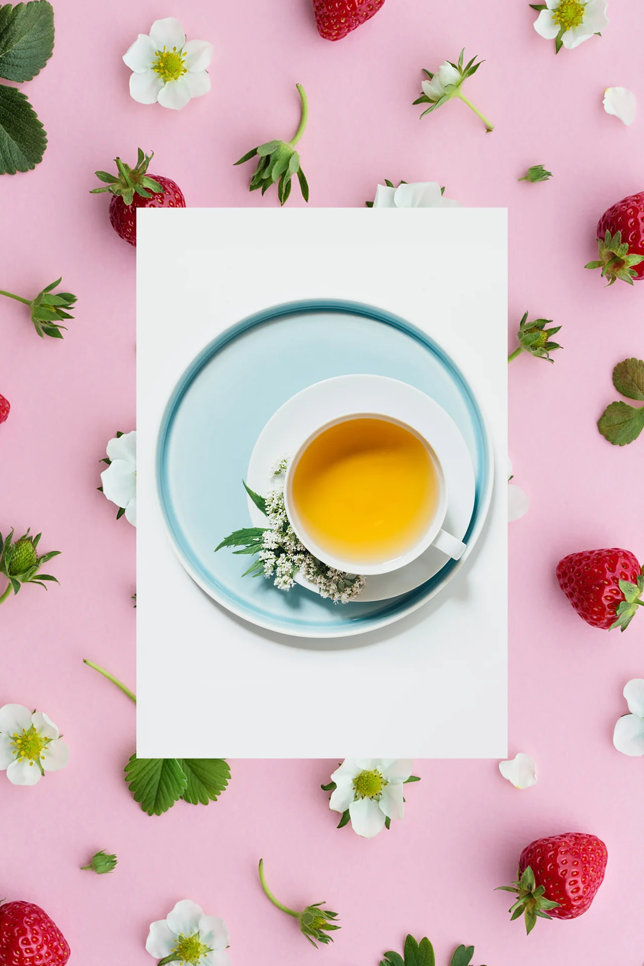 The Volume Revive Shampoo | Strawberry + White Tea + Nettle | 18 fl oz - Image 5